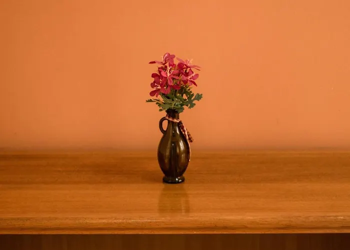 Narenta موستار